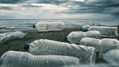 How Do Plastic Water Bottles Contribute To Climate Change