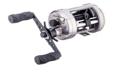 Types of Fishing Reels