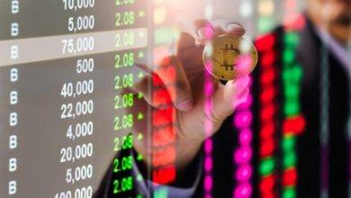 Read Turnkey Forex Review Before Trading