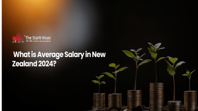 What is Average Salary in New Zealand 2024